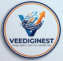 veediginest.com